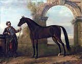 The Godolphin Arabian (c. 1724 – 1753), also known as the Godolphin Barb, was an Arabian horse who was one of three stallions that were the founders of the modern Thoroughbred horse racing bloodstock (the other two are the Darley Arabian and the Byerley Turk). He was given his name for his best-known owner, Francis Godolphin, 2nd Earl of Godolphin.